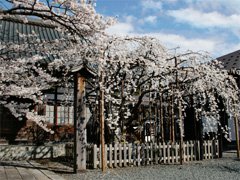 🏯 용곡사 (류코쿠지) 이미지 6